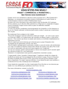 Projet Commercial & Marketing : FO vous informe et vous défend (Décembre 2012)