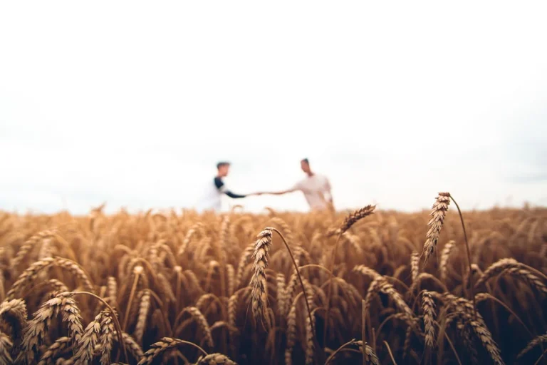 FGTA-FO : revendications sociales face à la crise agricole.