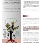Miniature Page 3